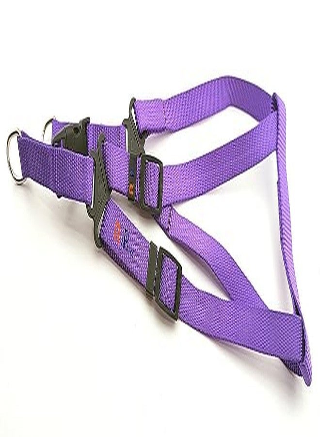 Pups&Pets طقم مقود نايلون من Pups&Pets مقاس 15 مم مع حزام، طقم حزام نايلون قابل للتعديل مقاس 0.5 بوصة، مناسب لتدريب/مشي الكلاب الصغيرة والجراء (بنفسجي) - Image 3